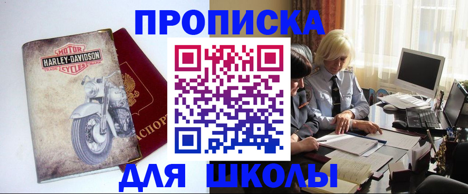 прописка штамп в Лосино-Петровском